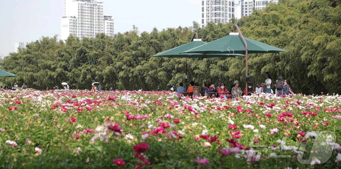 본문 이미지 -  봄꽃들이 만개해 정원을 알록달록 물들이고 있는 울산 태화강국가정원. 2024.5.17/뉴스1 ⓒ News1 김지혜 기자