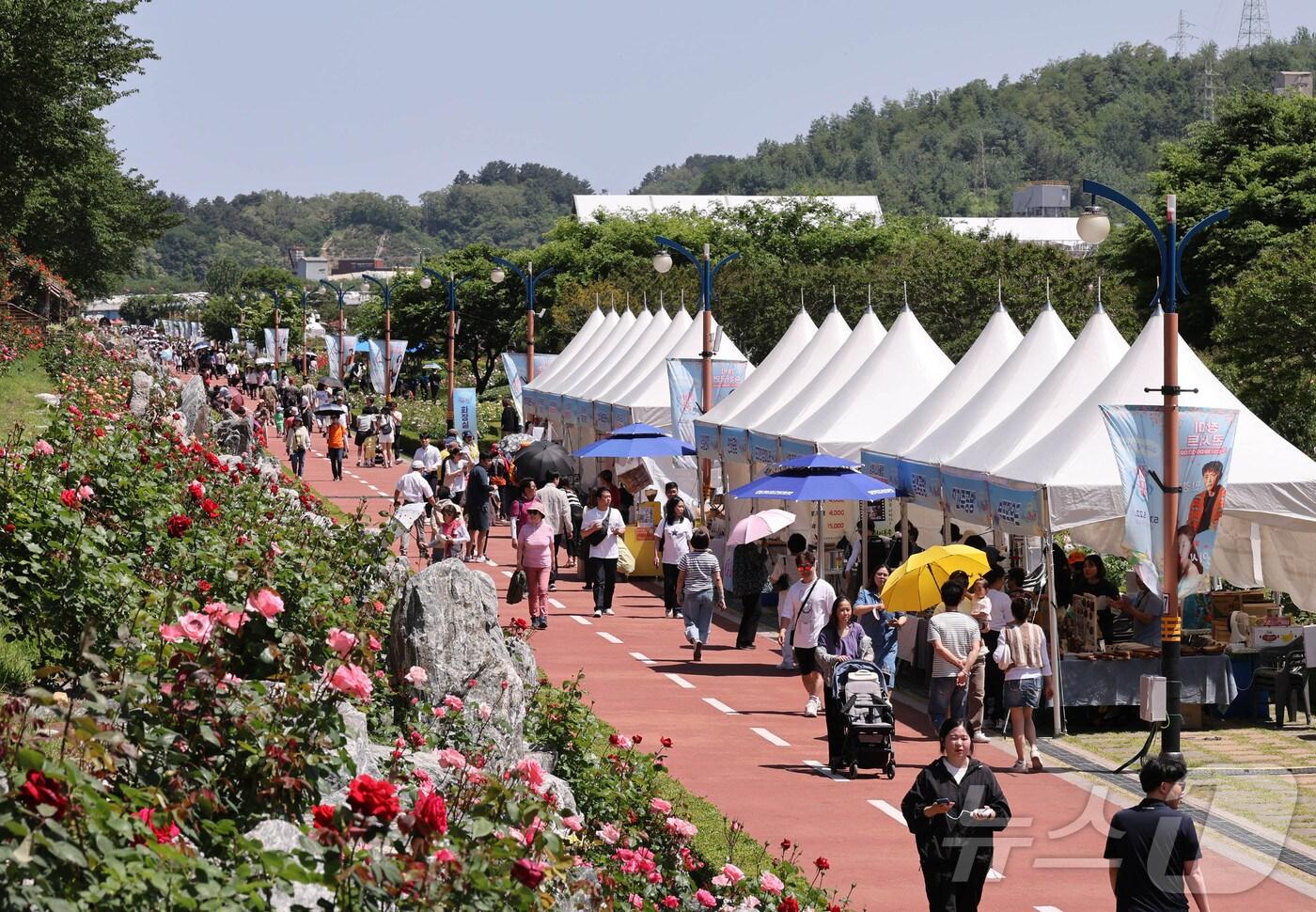 본문 이미지 - 2024 삼척장미축제 자료사진. (삼척시 제공) 2024.5.19/뉴스1