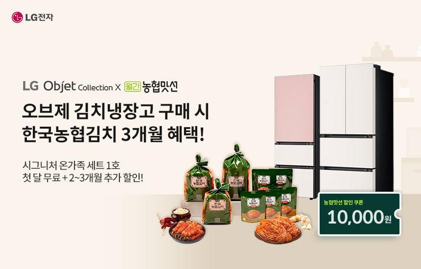 본문 이미지 - 이미지=와이케이지 제공