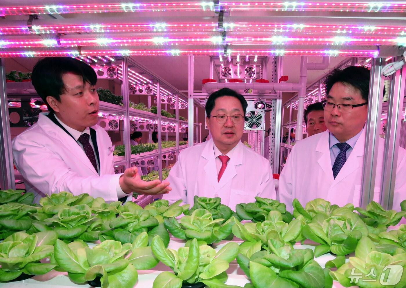 이장우 대전시장이 대전 동구 삼성동에 마련된 대전도심 공실 활용 테마형 대전팜 개장식에 참석해 시설을 둘러보고 있다. 2024.5.2/뉴스1 ⓒ News1 김기태 기자