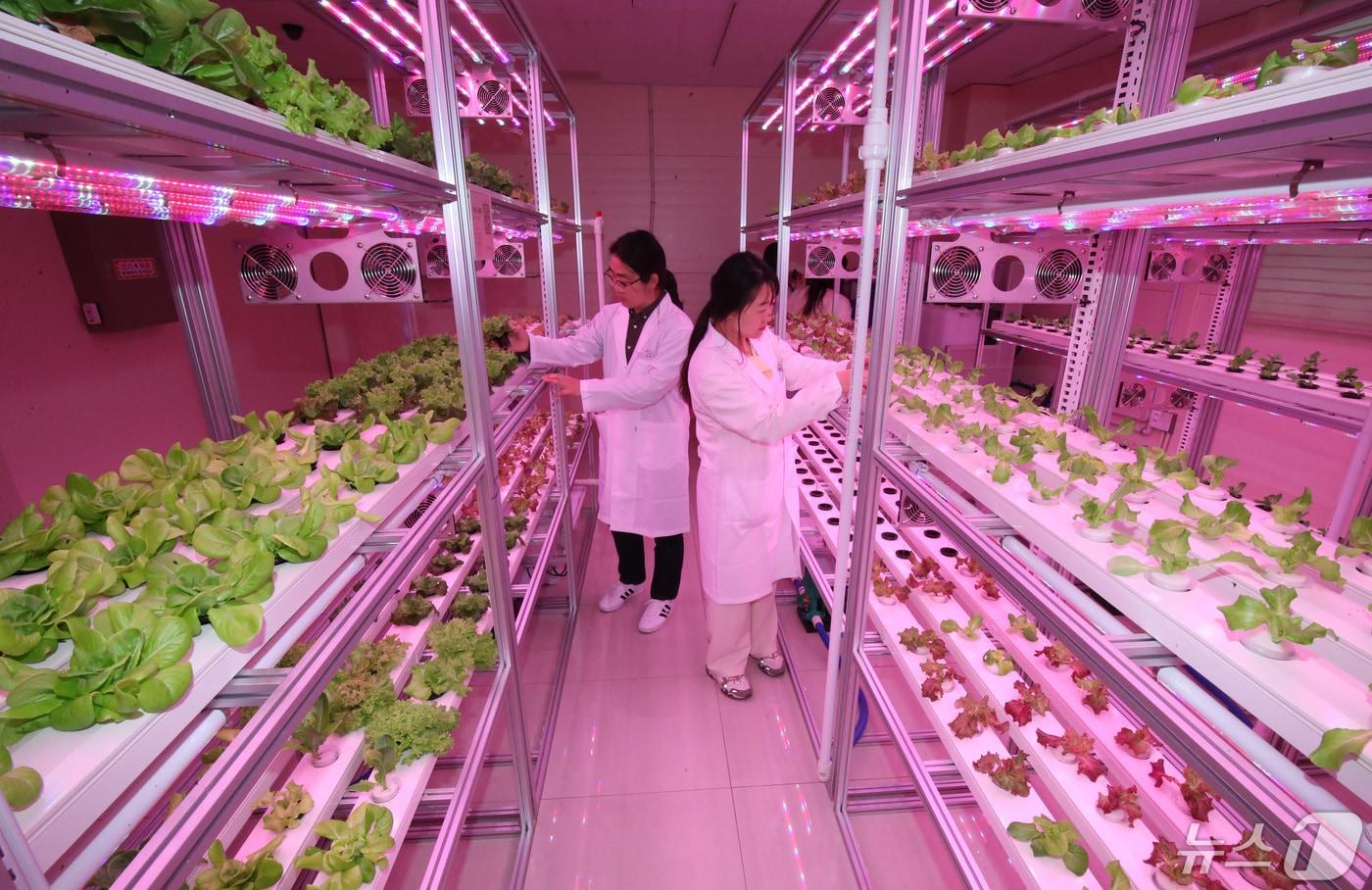 &#40;사진은 기사 내용과 무관함&#41; / 뉴스1 ⓒ News1