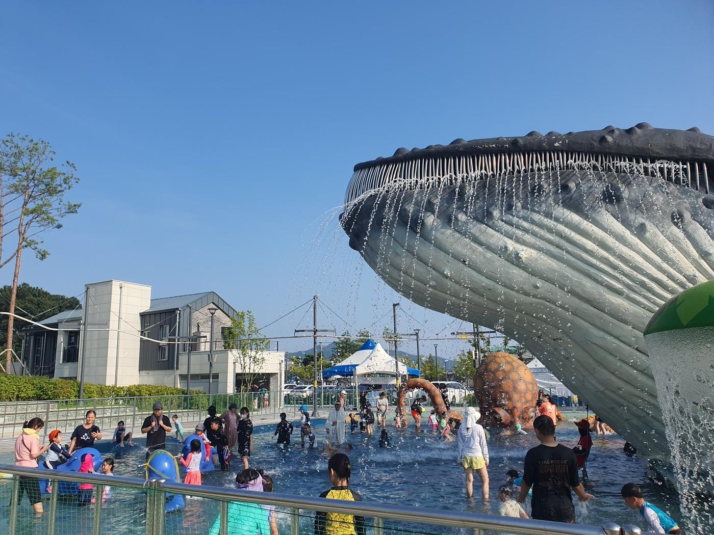 본문 이미지 - 청주 생명누리공원 물놀이장.