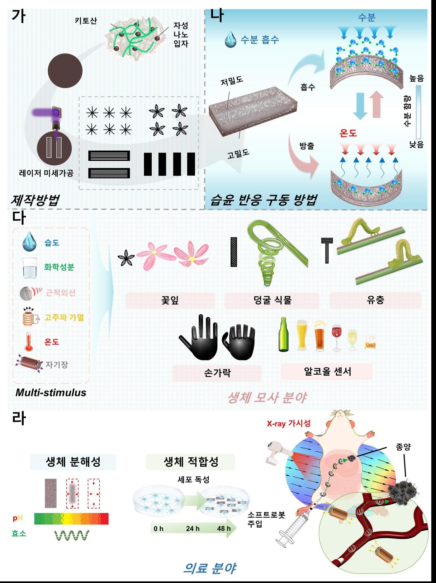 본문 이미지 - 다기능 소프트 의료로봇 개념도.(한국연구재단 제공)/뉴스1