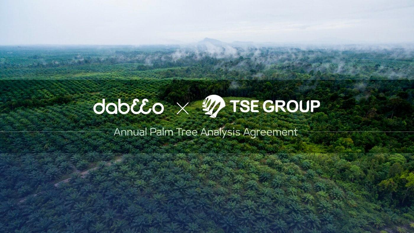 사진=다비오(Dabeeo) 제공