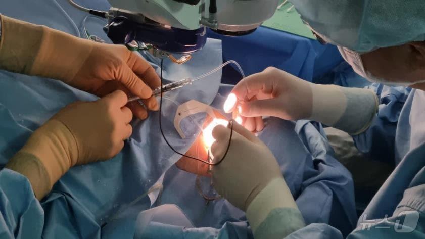 본문 이미지 - 럭스터나 유전자 치료 수술 중인 안과 박규형·윤창기 교수(유전자를 망막에 주입하는 중)(서울대학교병원 제공)