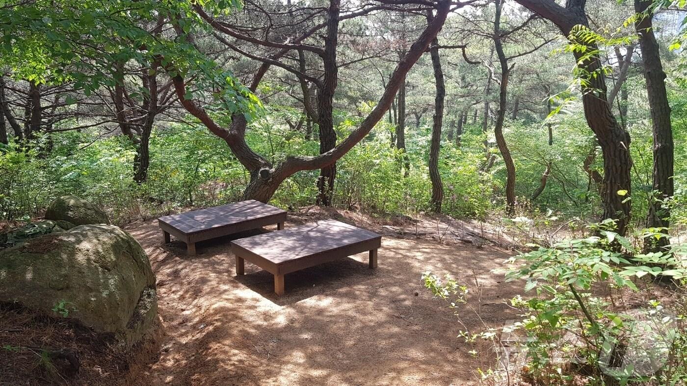 본문 이미지 - '녹수초~안산사거리철탑' 구간에 염포산 테마숲길 조성 2차 사업을 완료한 모습.(울산동구청제공)