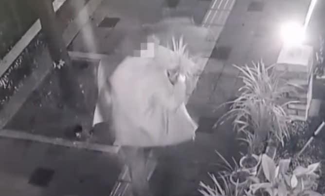 본문 이미지 - ( TBC '사건반장')