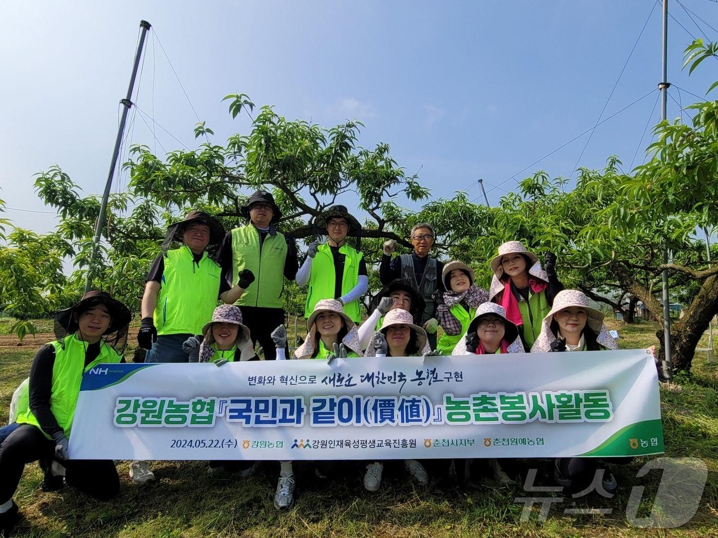 본문 이미지 - ‘국민과 같이’ 농촌봉사활동.(농협 강원본부 제공) 2024.5.22/뉴스1