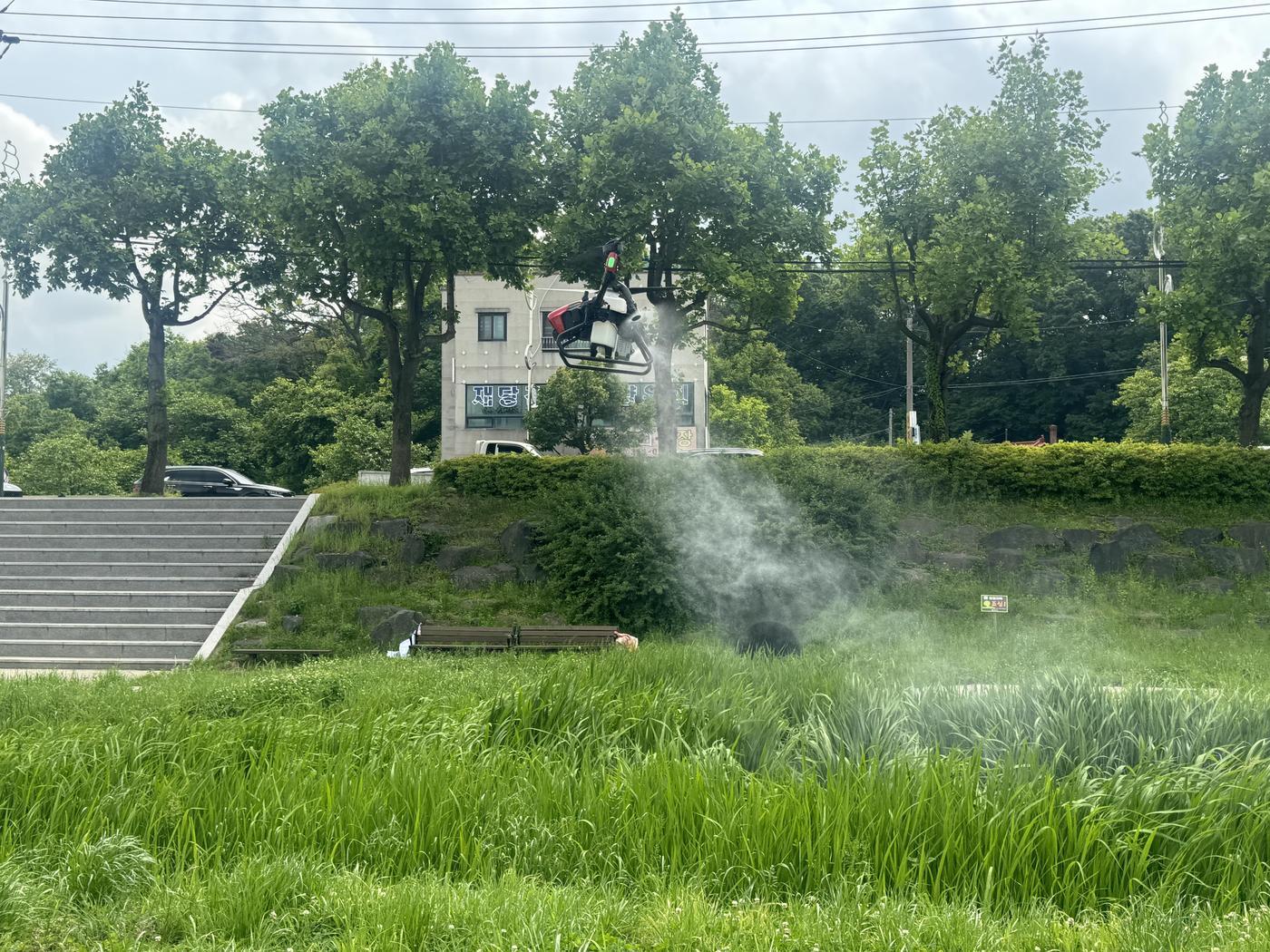 본문 이미지 -  드론이 하천에서 약품을 투하하고 있다. (당진시 제공)/뉴스1