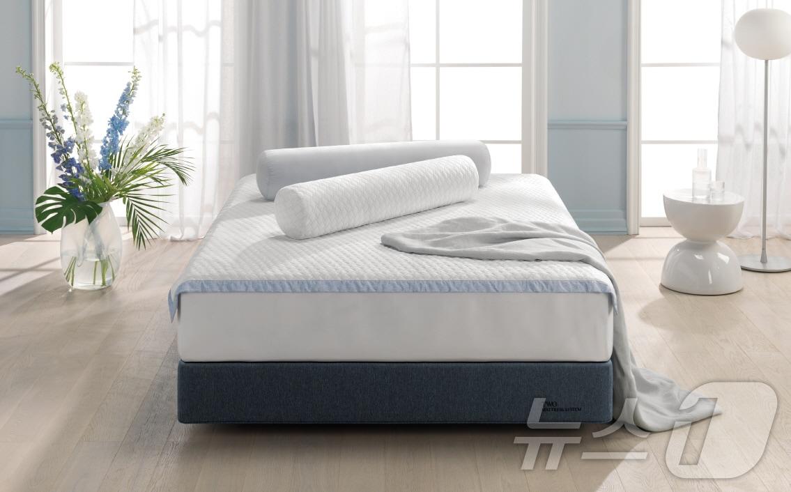 본문 이미지 - 에이스침대가 출시한 '쿨링 바디필로우' 이미지.(에이스침대 제공)