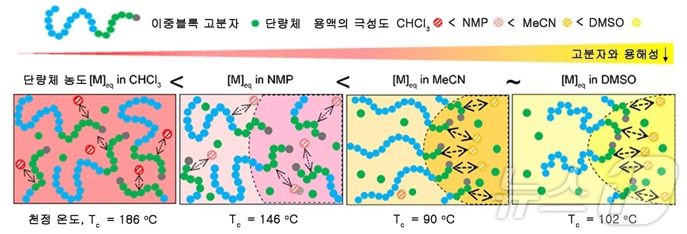 이중블록 고분자와의 용해성이 떨어지는 선택적 용매에서 중합을 진행했을 때 발생하는 고분자 자기조립의 모식도.(KAIST 제공)/뉴스1