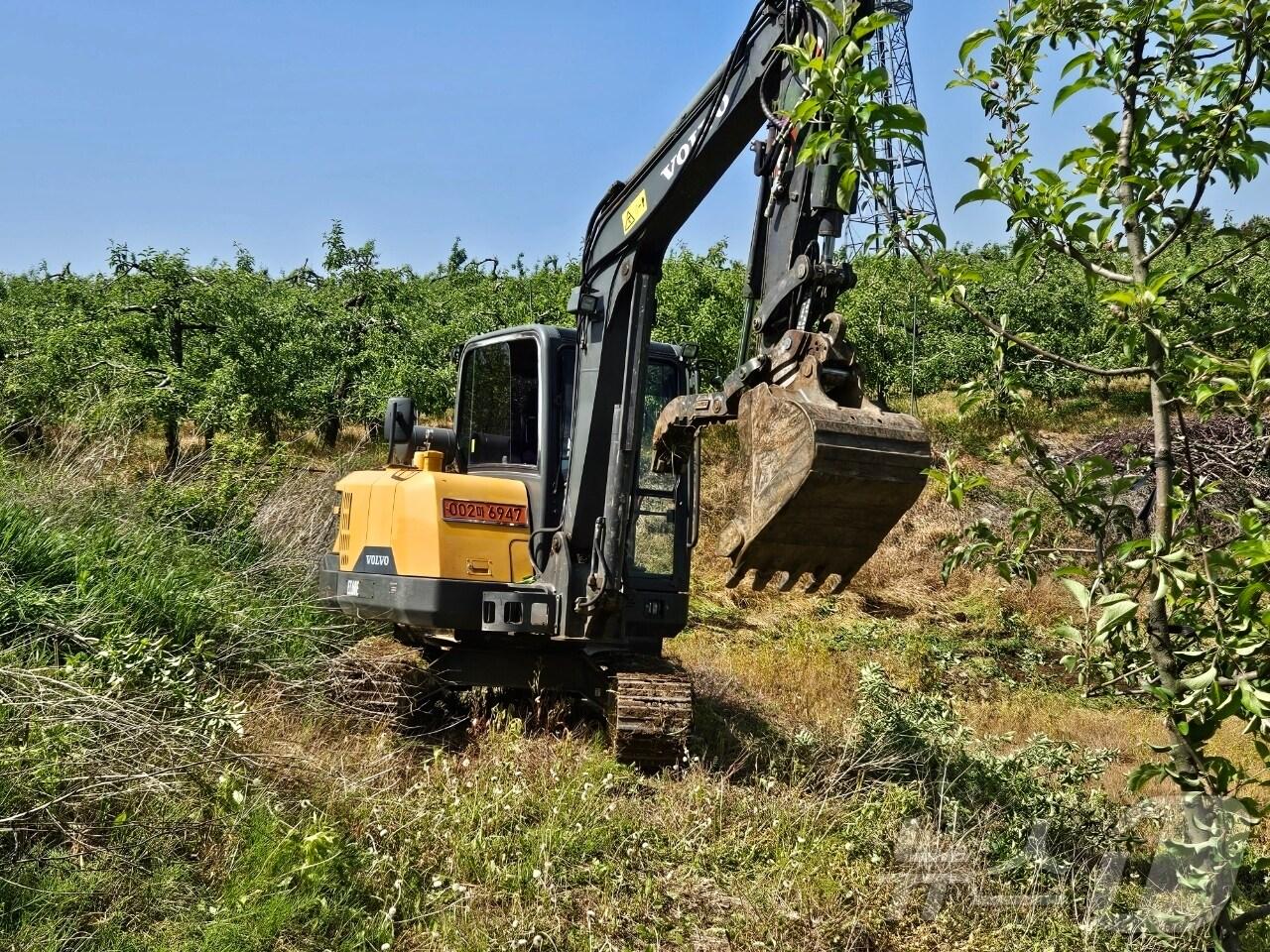 본문 이미지 -  24일 충북 도내 과수화상병이 충주와 제천에서 1건씩 추가 발생하며 누적 발생 건수가 29건으로 늘었다. 사진은 감염 과원 매몰 모습.(자료사진)2024.5.24/뉴스1