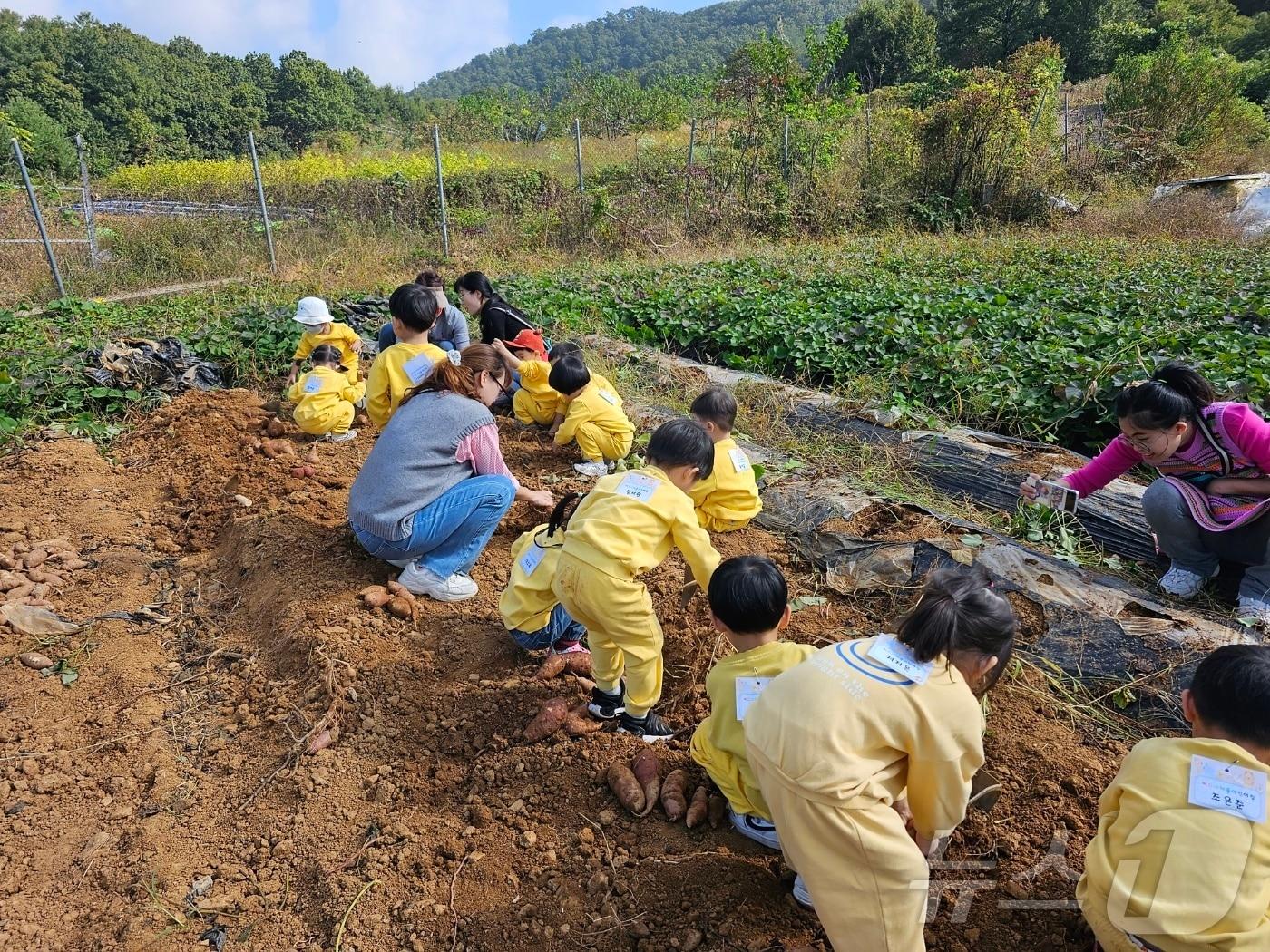 본문 이미지 - 체험 프로그램 모습.(재단 제공)/뉴스1