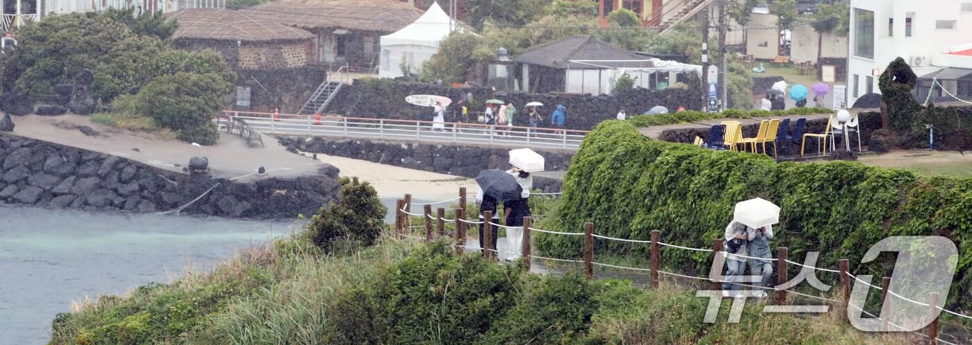 비 내리는 제주(자료사진)/뉴스1