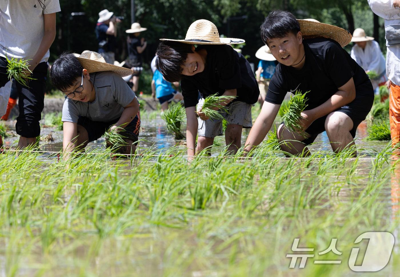 (사진은 기사 내용과 무관함) / 뉴스1 ⓒ News1