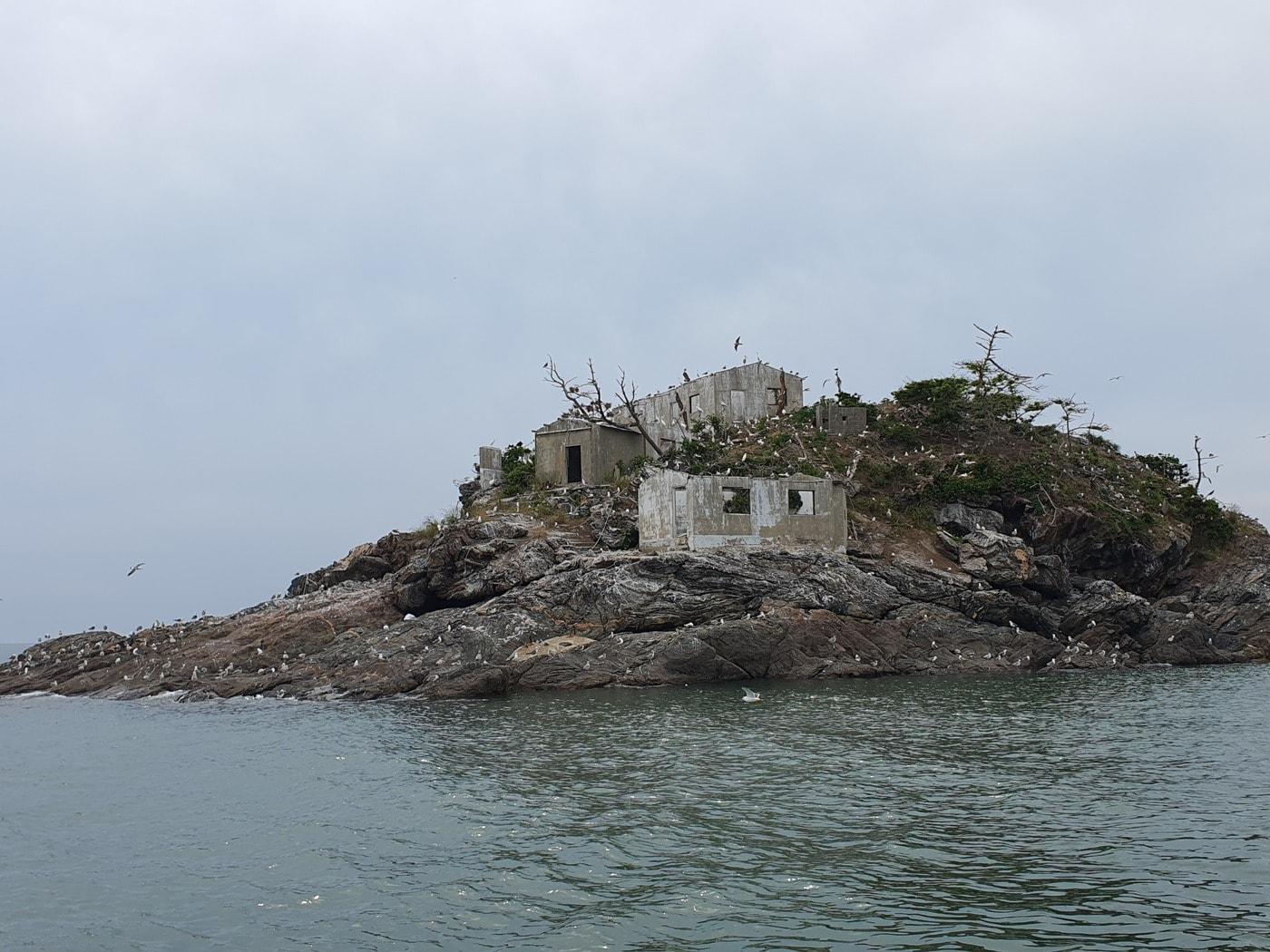 본문 이미지 -  서천 노루섬. (서천군 제공)/뉴스1