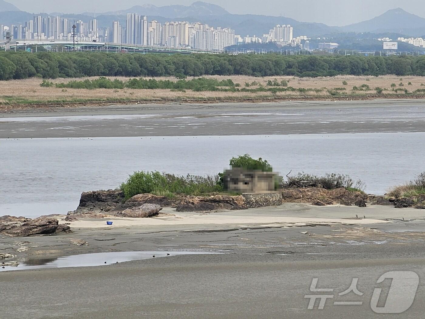본문 이미지 - 경기 김포시 걸포동에 위치한 '독도'(김포시 제공)/뉴스1