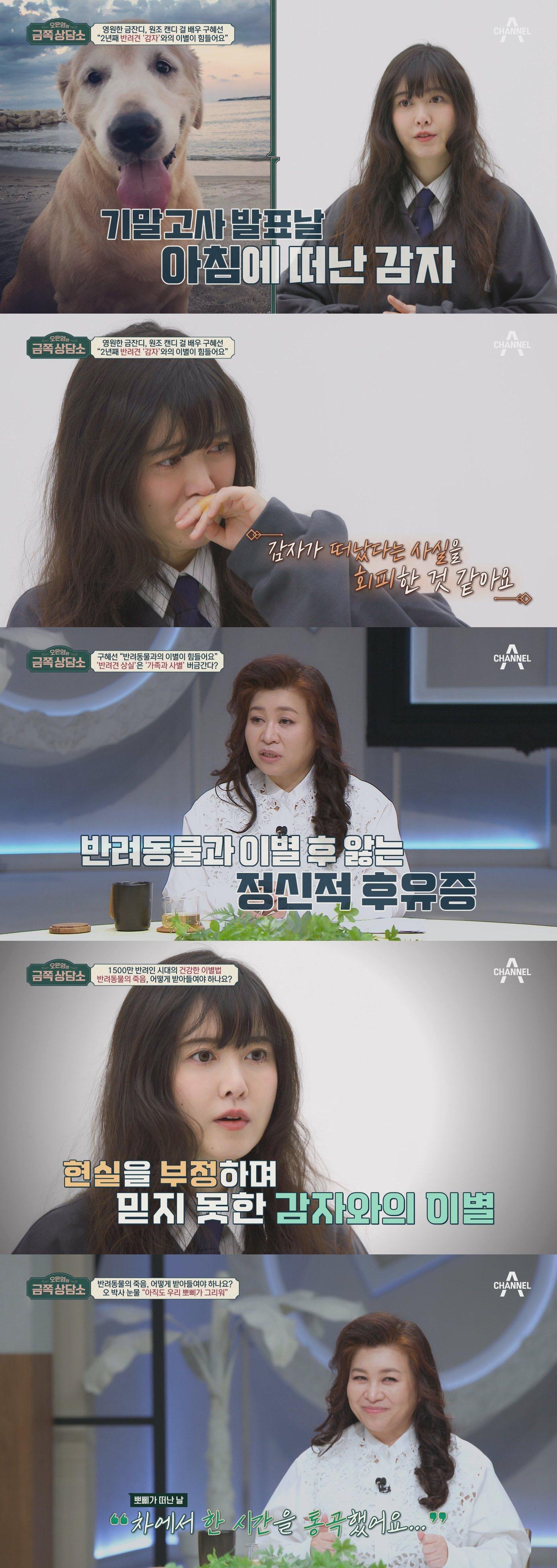 본문 이미지 - 채널A '오은영의 금쪽 상담소'