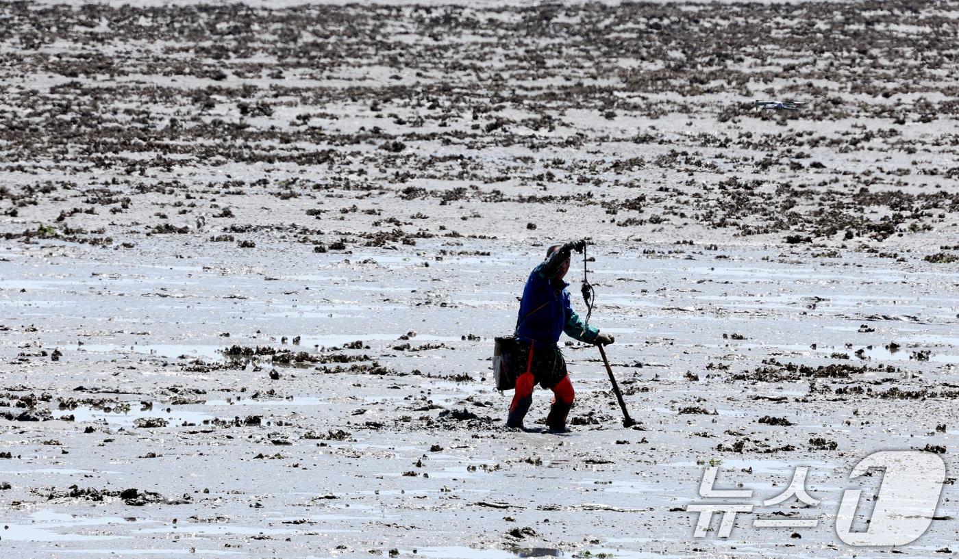 본문 이미지 - 갯벌 2024.5.29 ⓒ 뉴스1 김태성 기자