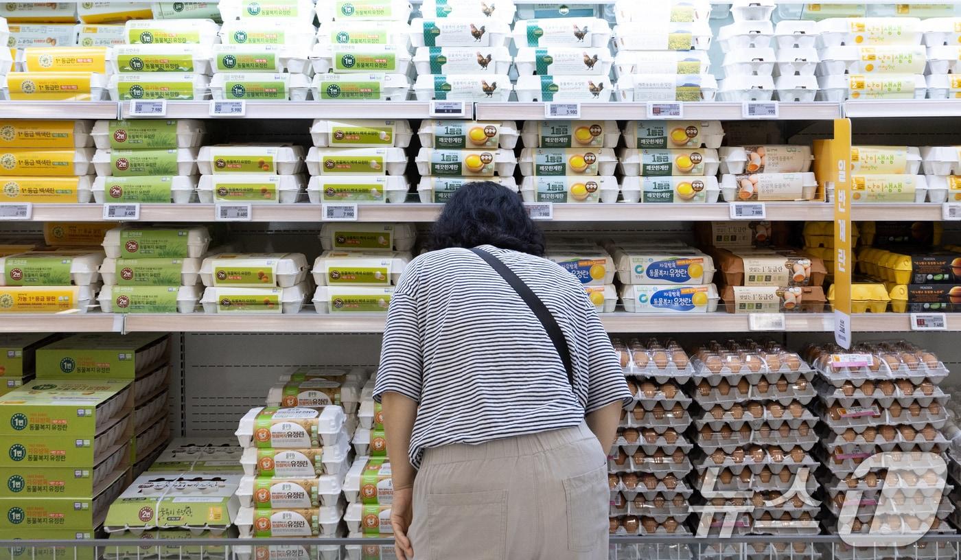 본문 이미지 - 서울의 한 대형마트에 계란이 진열돼 있는 모습.ⓒ News1 이재명 기자