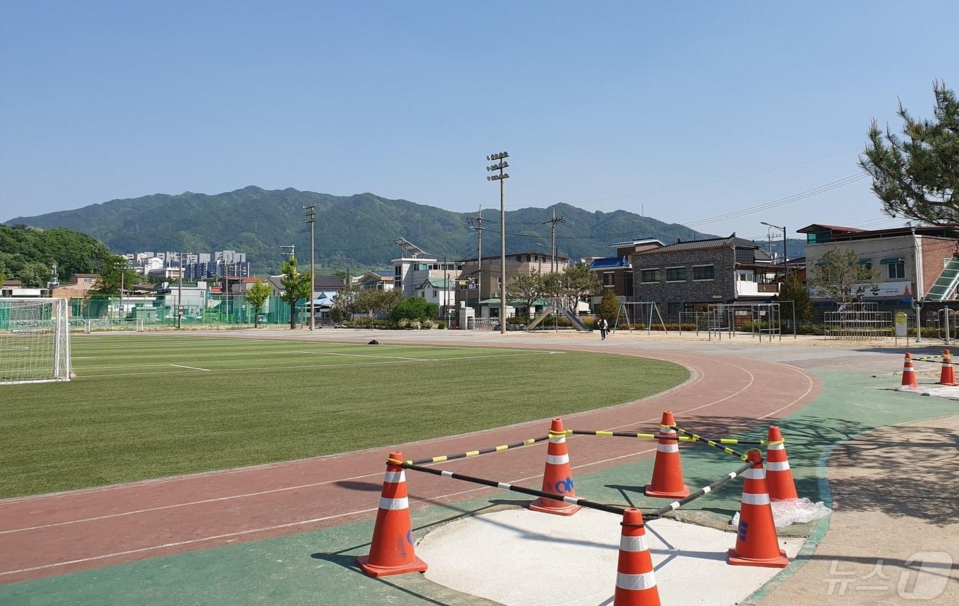 충북 충주 교현초등학교가 80년 이상 된 아름드리 플라타너스 나무를 모두 베어내 논란이다. 사진은 플라타너스 나무가 있던 자리 콘크리트 마감 모습.(독자 제공)2024.5.5/뉴스1 