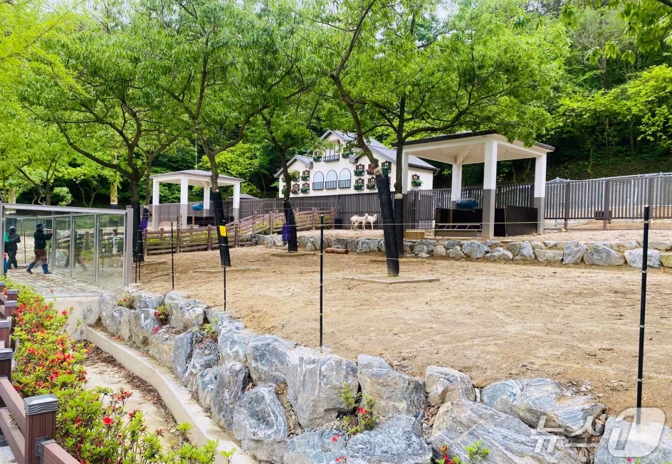 본문 이미지 - 광주 우치동물원 사슴사 전경.(광주시 제공)2024.5.3/뉴스1