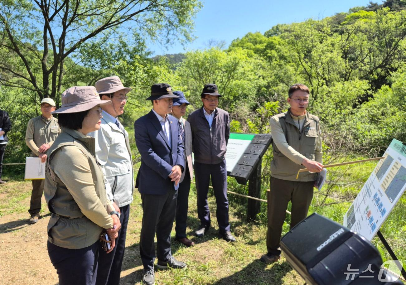 본문 이미지 - 임상준 환경부차관이 무등산국립공원 내 평두메습지의 실태와 람사르협약 추진 상황을 점검하고 있다.(광주시 제공)2024.5.3/뉴스1 