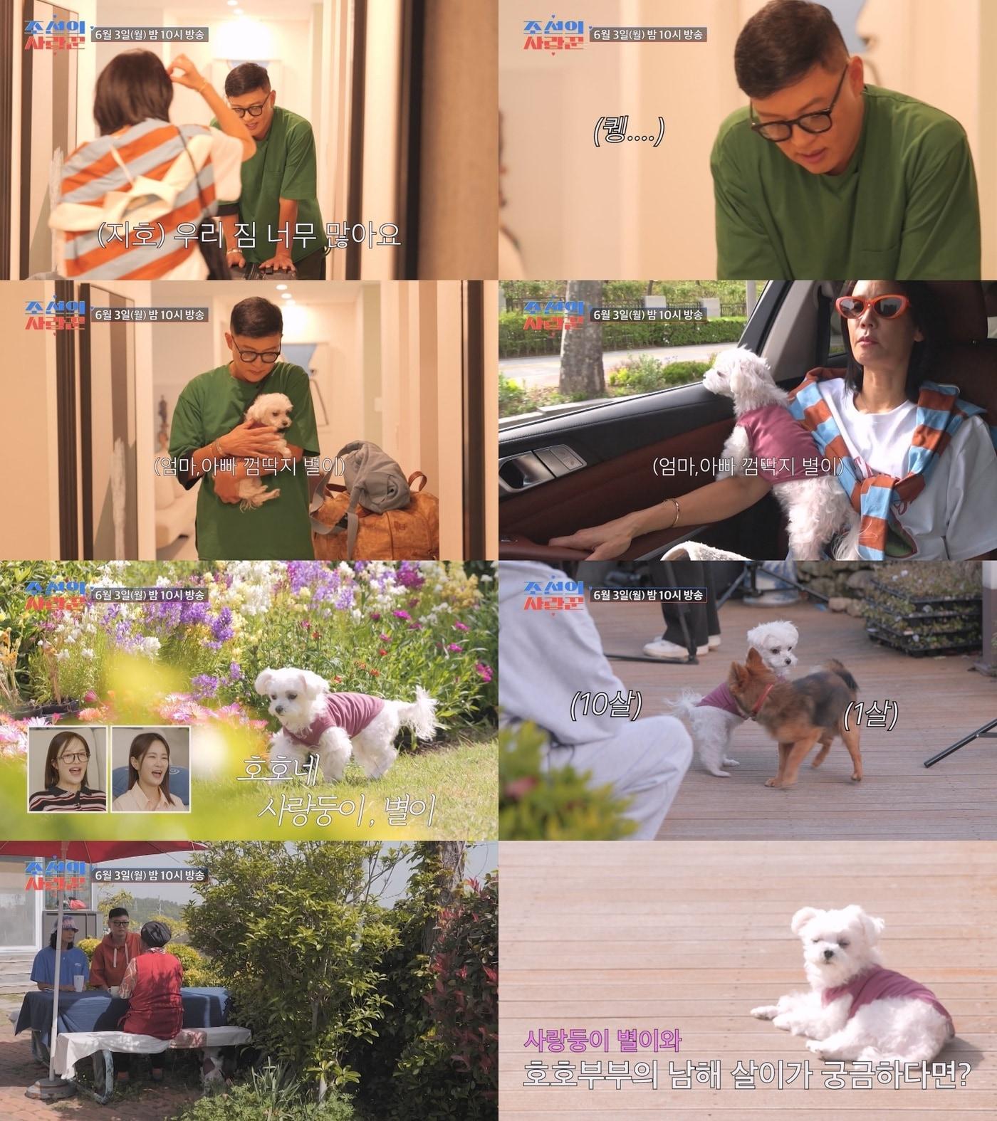 본문 이미지 - TV조선 '조선의 사랑꾼'