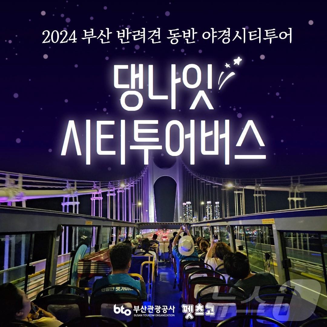 본문 이미지 - 부산 댕댕 나이트 시티투어 시즌3 안내문(부산관광공사 제공)