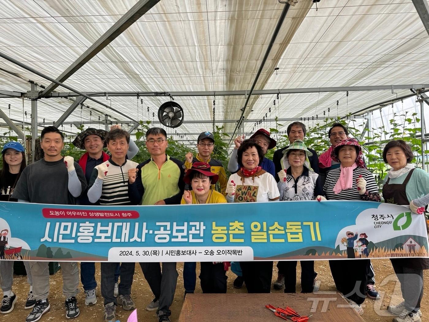 본문 이미지 - 청주시 공보관과 시민 홍보대사들이 30일 흥덕구의 한 오이 농장을 찾아 농번기 일손을 보태며 구슬땀을 흘렸다.(청주시 제공).2024.5.30/뉴스1 