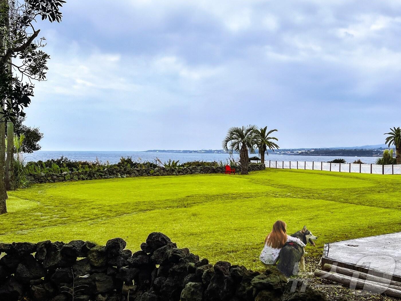 본문 이미지 - 대명소노그룹 소노인터내셔널이 운영하는 소노캄 제주 펫 플레이 그라운드 전경.(소노인터내셔널 제공)