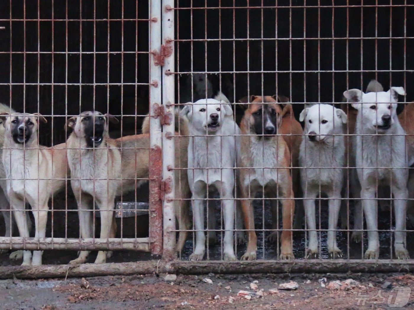 본문 이미지 - (사진은 기사 내용과 무관함) / 뉴스1 ⓒ News1