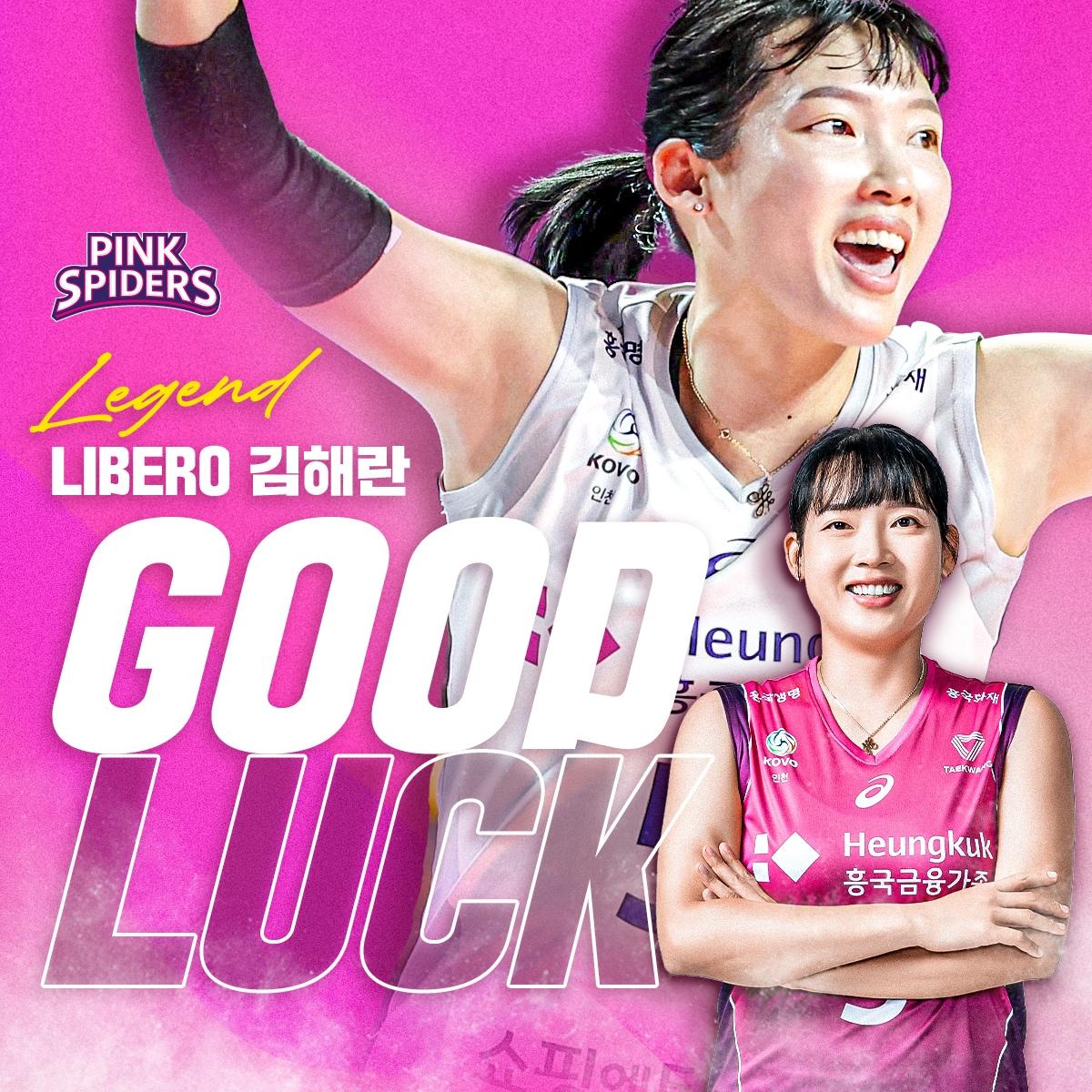 본문 이미지 - 흥국생명의 베테랑 리베로 김해란이 은퇴한다.(흥국생명 제공) 