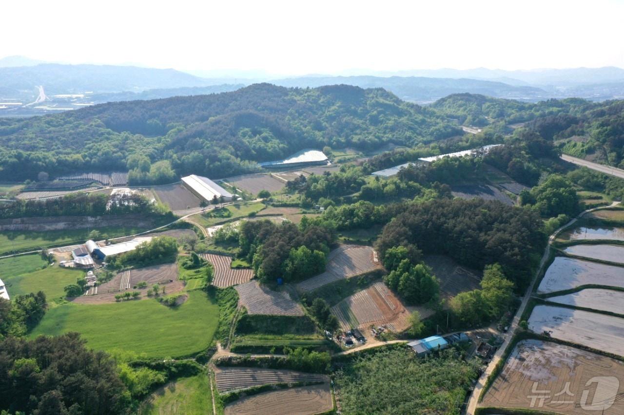 본문 이미지 - 보은 3일반산업단지 조성 예정지인 탄부면 고승리·사직리 일대 (보은군 제공) /뉴스1