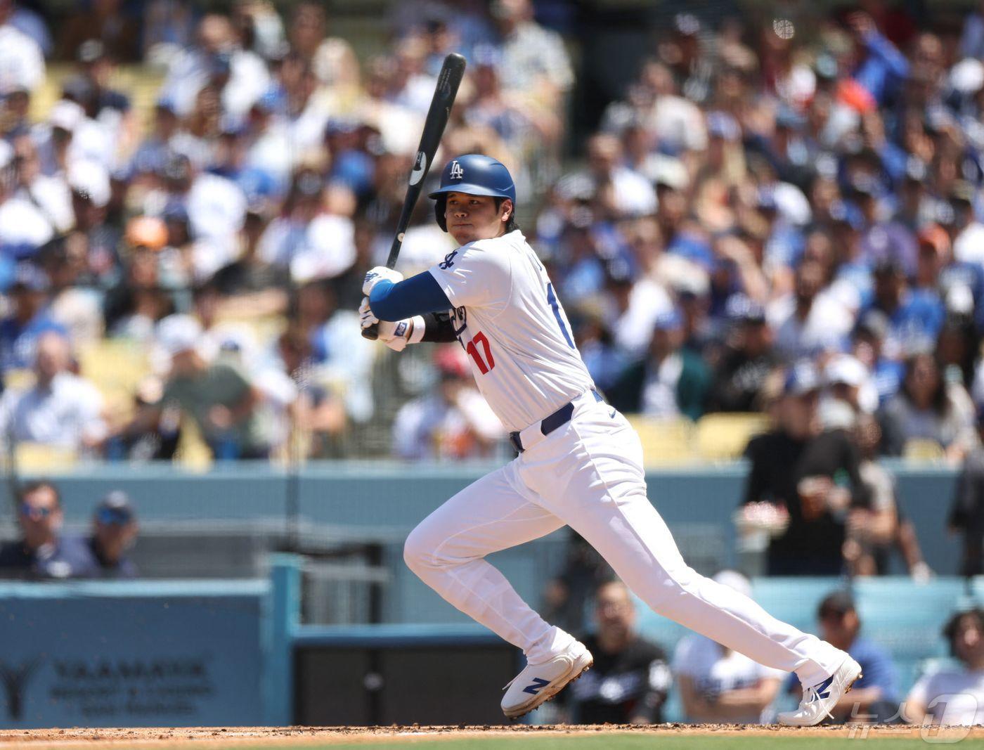본문 이미지 - 오타니 쇼헤이는 6일(한국시간) 현재 메이저리그에서 타율, 안타, 홈런, 장타율, OPS 등 부문에서 1위에 올랐다. ⓒ AFP=뉴스1