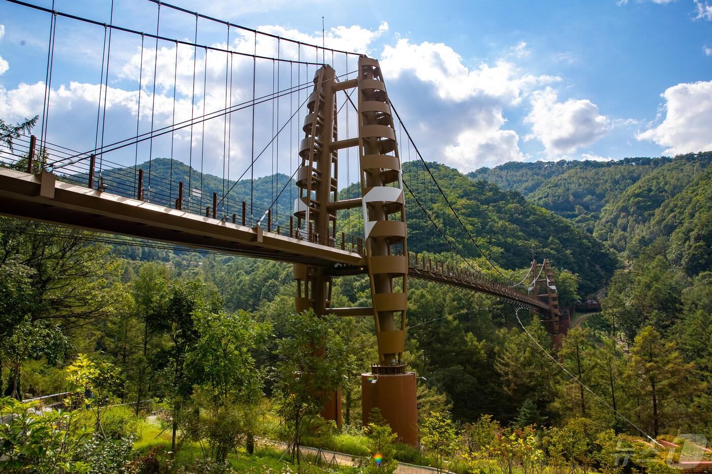 좌구산휴양림 명상구름다리./뉴스1