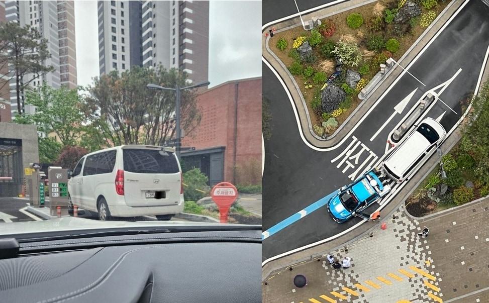 본문 이미지 - (보배드림 갈무리)