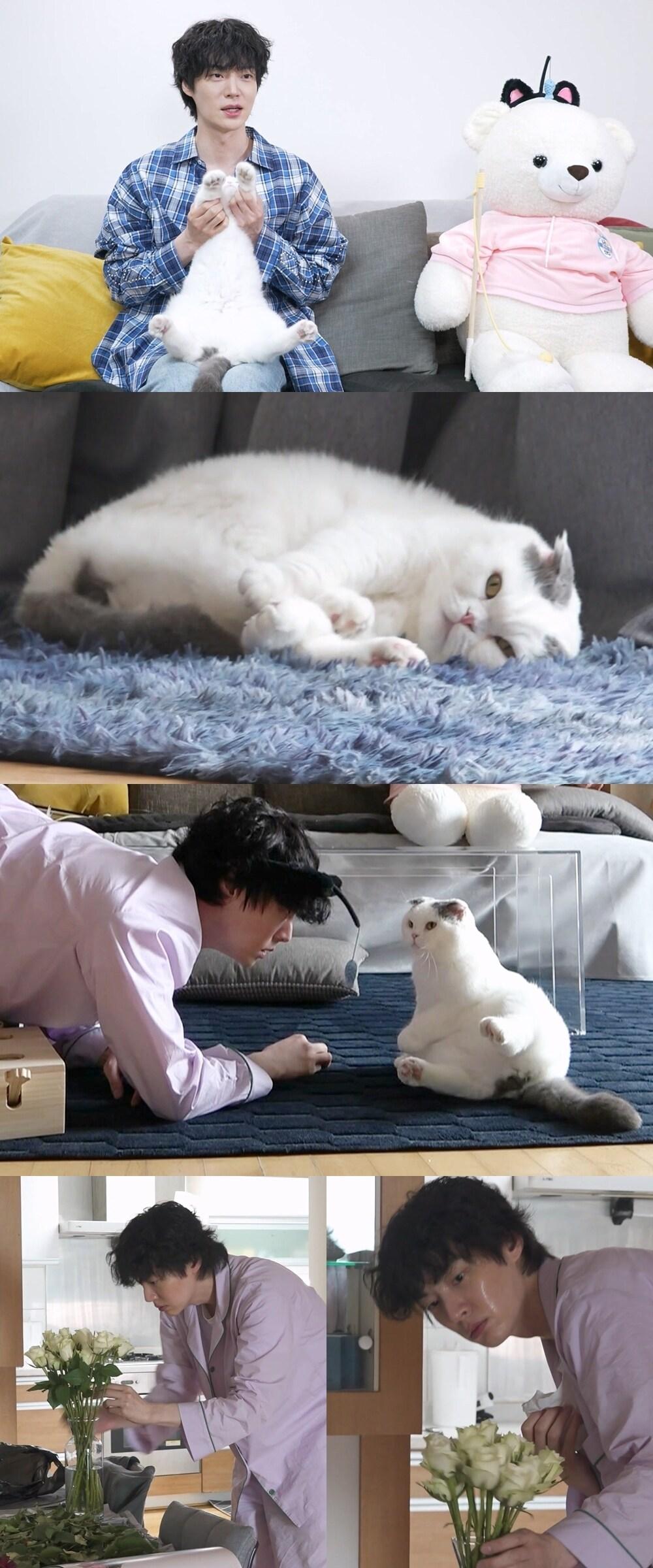 본문 이미지 - MBC &#39;나 혼자 산다&#39;