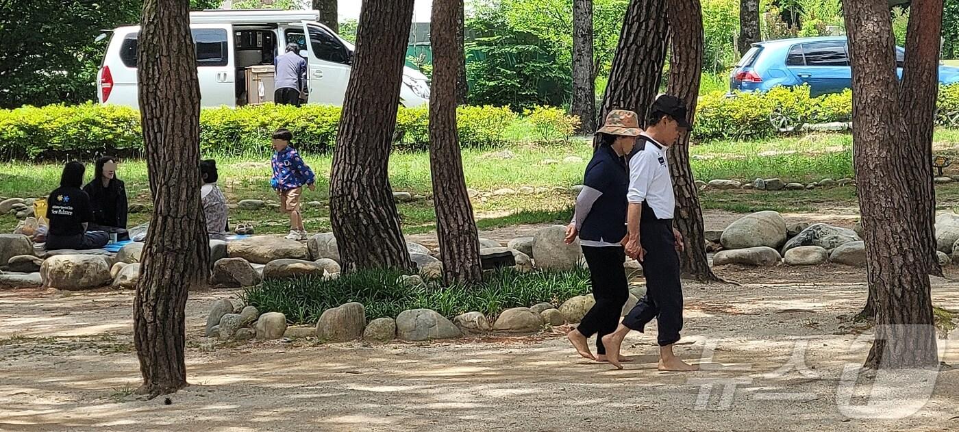 충북 제천 의림지솔밭공원에서 피크닉을 즐기는 시민들.2024.6.1/ 뉴스1 ⓒ News1 이대현 기자