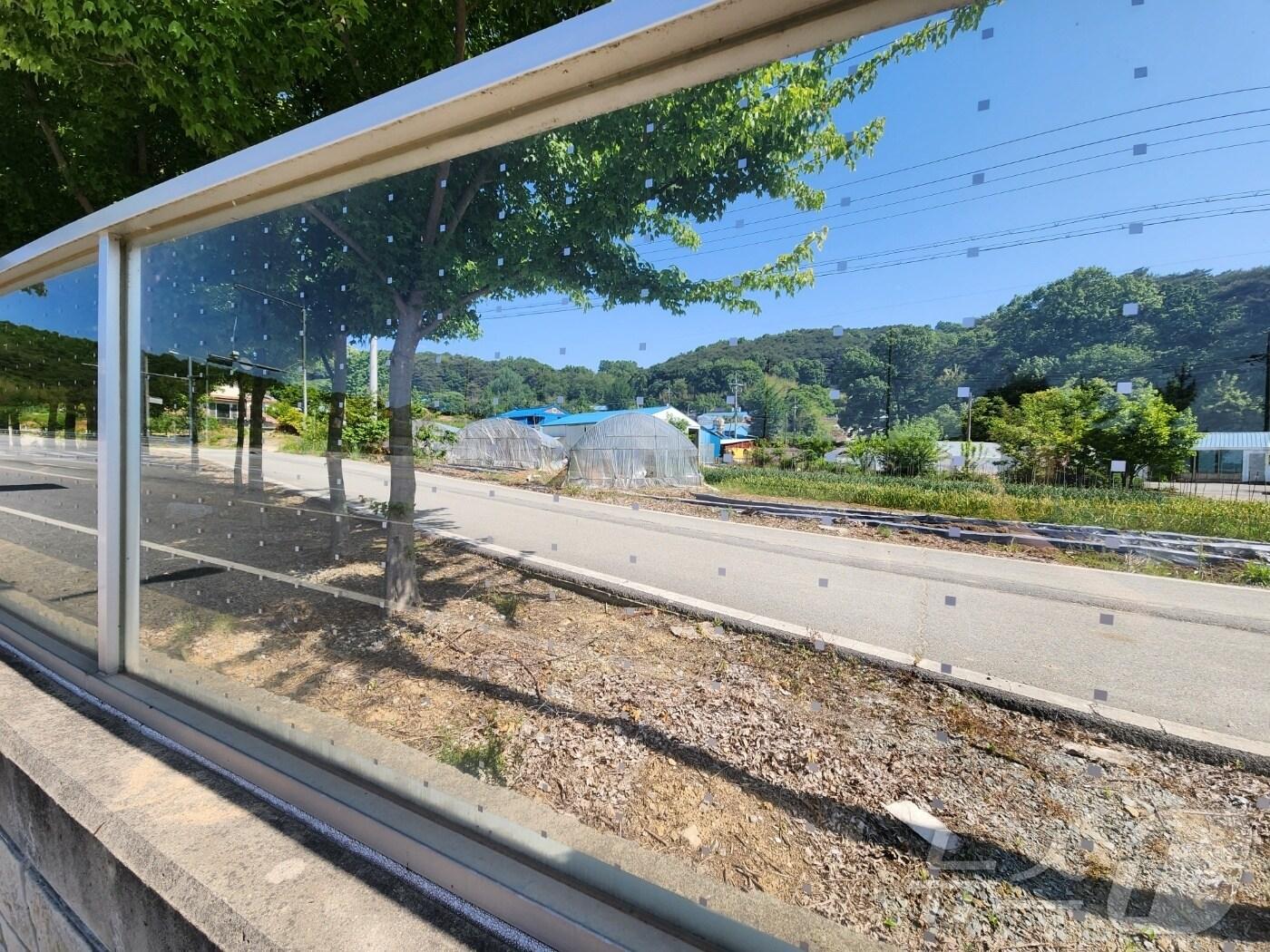 본문 이미지 - 예산 국도 방음벽에 ‘조류 충돌 방지 스티커’가 부착돼 있다. (독자 제공) /뉴스1