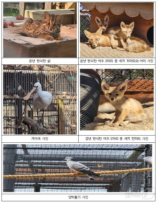 본문 이미지 -  (서울대공원 제공) 