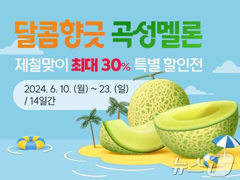 본문 이미지 - 오는 23일까지 곡성몰이 머스크멜론 30% 특별할인판매를 진행한다(곡성군 제공)2024.6.11/