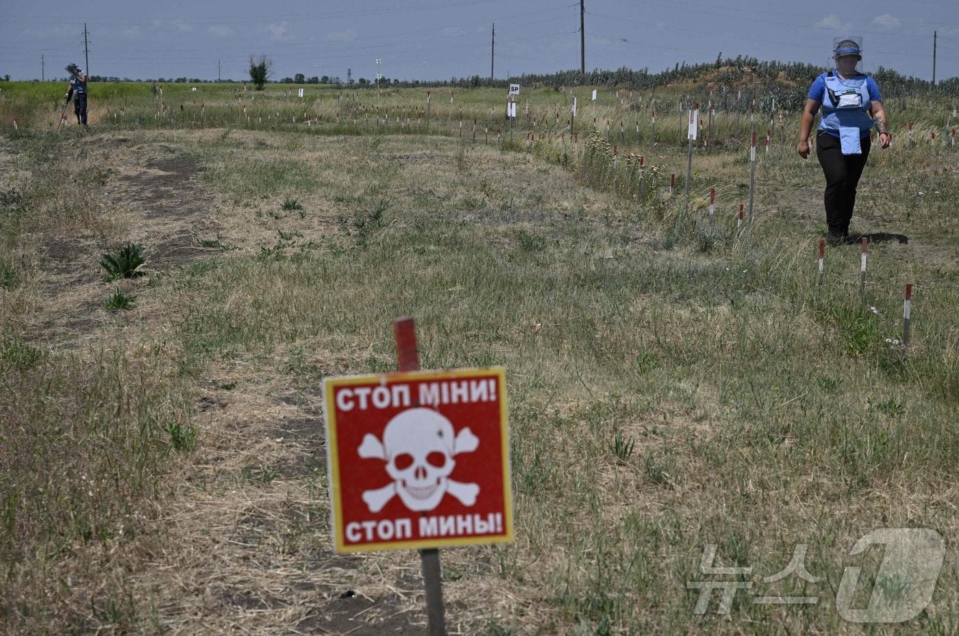 지뢰퇴치 비정부기구인 &#39;할로 트러스트&#39; 소속 발레리아 포노마레바&#40;23&#41;씨가 지난 4일 러시아군이 점령했다 되찾은 남부 우크라이나 미콜라이우주 스니구리브카 지역서 지뢰탐지 활동을 벌이고 있다. 우크라이나 내무부에 따르면 우크라이나 땅 약 &frac14;이 지뢰에 오염됐다. 2024.06.11 ⓒ AFP=뉴스1 ⓒ News1 권진영기자