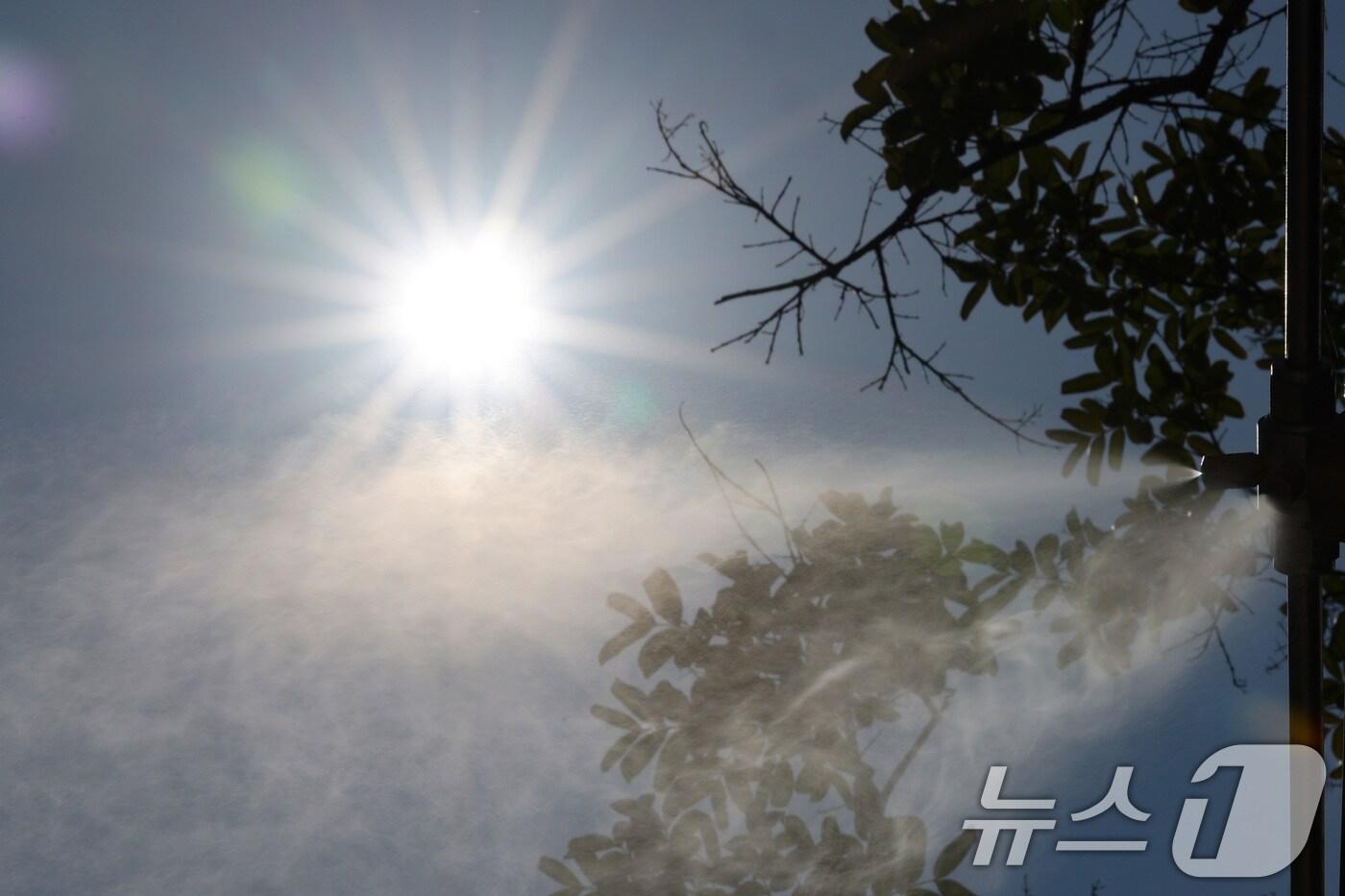 본문 이미지 - 지난 13일 오후 서울시청 앞에서 쿨링포그가 가동되고 있다.2024.6.13/뉴스1 ⓒ News1 신웅수 기자