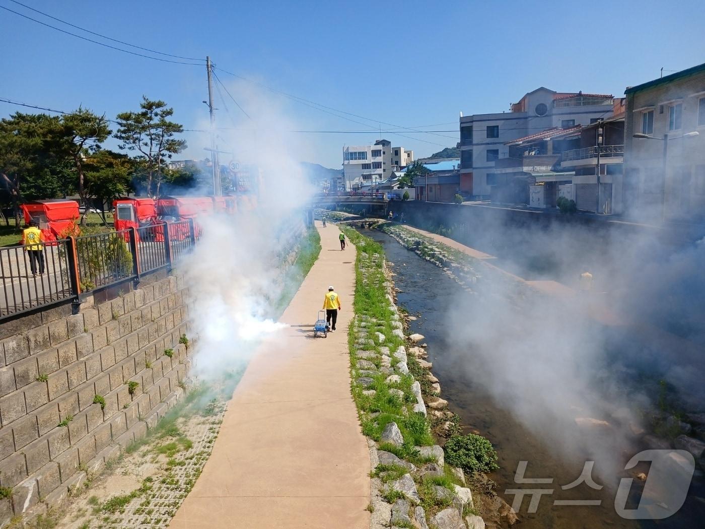 본문 이미지 - 공주시 위생 해충 방역 모습. (공주시 제공) / 뉴스1
