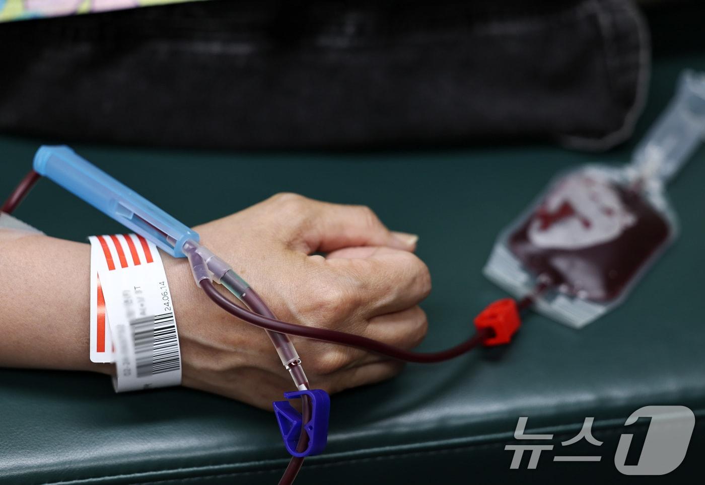 &#40;사진은 기사 내용과 무관함&#41; / 뉴스1 ⓒ News1