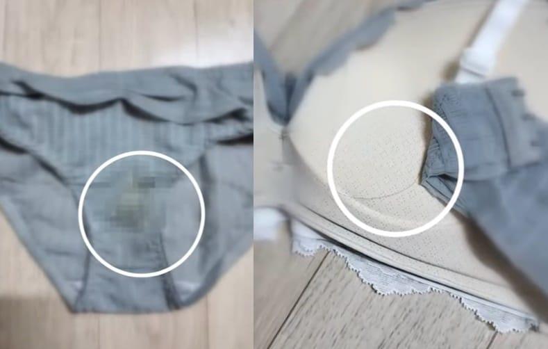 본문 이미지 - (JTBC '사건반장' 갈무리)