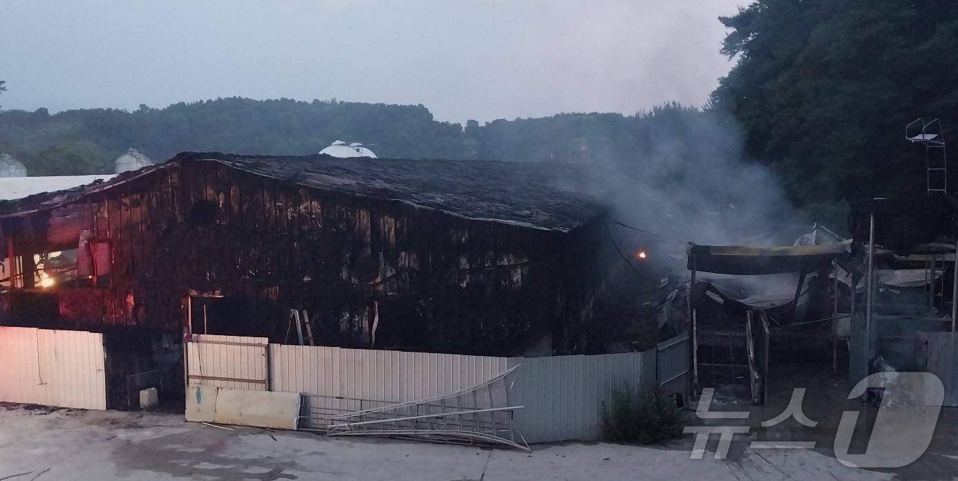 본문 이미지 - 15일 오전 3시 20분쯤 경북 봉화군 봉화읍의 한 돼지농가에 원인을 알 수 없는 불이 났다. (경북소방본부 제공) 2024.6.15/뉴스1