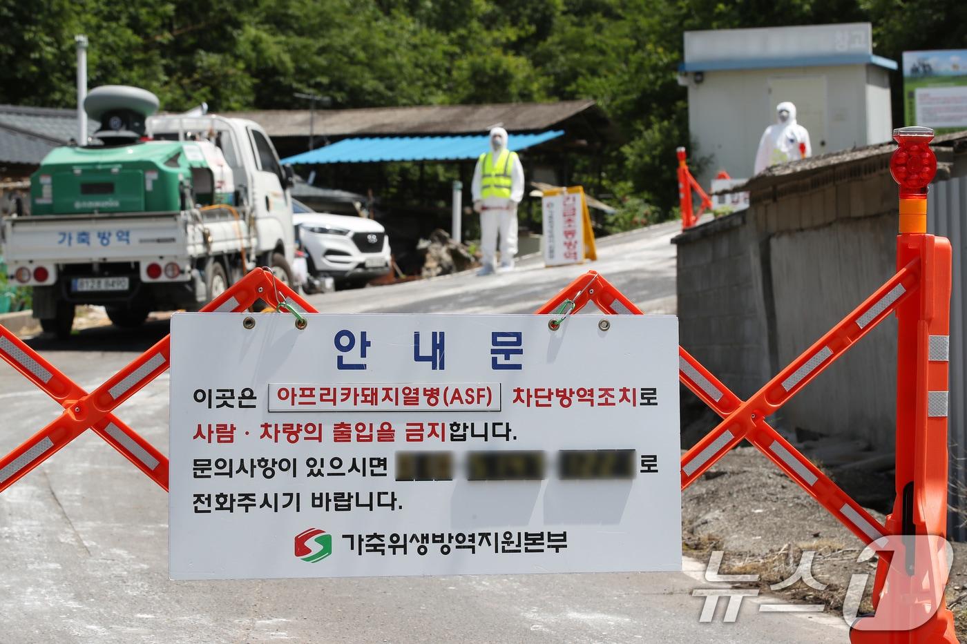 본문 이미지 - 경북 영천시 화남면에 있는 대규모 돼지 사육농장에서 아프리카돼지열병(ASF)이 발생한 가운데 16일 가축위생방역지원본부 관계자들이 농장으로 향하는 길목을 차단한 채 출입을 통제하고 있다.  2024.6.16 ⓒ 뉴스1 공정식 기자