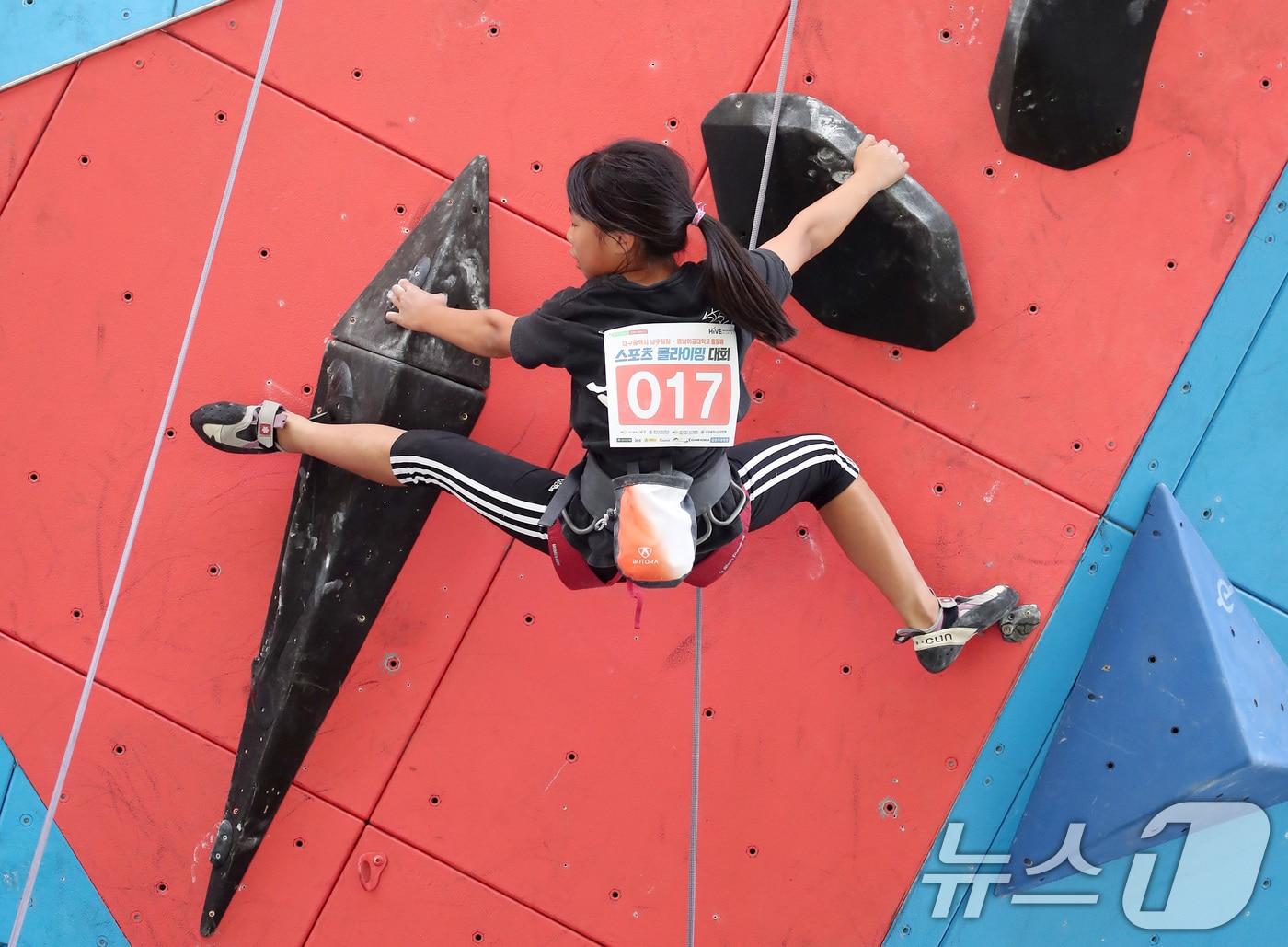 본문 이미지 - 16일 오후 대구 남구 국제스포츠클라이밍장에서 열린 '대구 남구청장·영남이공대 총장배' 스포츠클라이밍대회 결승에 출전한 선수들이 암벽을 오르고 있다. 2024.6.16/뉴스1 ⓒ News1 공정식 기자